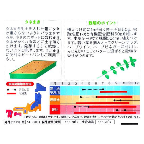 【サカタのタネ】サラダバーネット（1.9ml）【定形郵便・定形外郵便での発送のみ送...