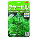 【サカタのタネ】チャービル(5.9ml)【定形郵便・定形外郵便での発送のみ送料無料】料理/ハーブ/サラダ/スープ/パセリ/フランス料理/魚料理/卵料理/家庭菜園/種子/ガーデニング/ウイキョウゼリ/耐寒性1~2年草/春まき/秋まき/粒数目安:800粒/928077