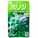 【サカタのタネ】ボリジ(1.9ml)【定形郵便・定形外郵便での発送のみ送料無料】料理/ポプリ/ハーブ/砂糖漬け/ケーキ/ワイン/ビール/香りつけ/サラダ/スープ/バター炒め/家庭菜園/種子/栽培/植物/ルリチシャ/耐寒性1年草/春まき/秋まき/粒数目安:45粒/928085