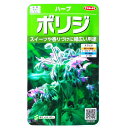 【サカタのタネ】ボリジ 1.9ml 【定形郵便・定形外郵便での発送のみ送料無料】料理/ポプリ/ハーブ/砂糖漬け/ケーキ/ワイン/ビール/香りつけ/サラダ/スープ/バター炒め/家庭菜園/種子/栽培/植物…