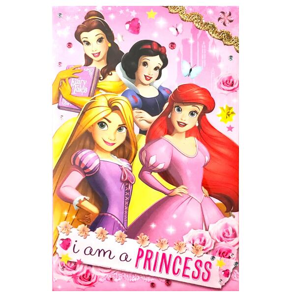 ディズニープリンセス★レギュラーポチ袋（同柄3枚入）【定形郵便・定形外郵便での発送のみ送料無料】デ..