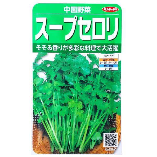 Seeds - 【サカタのタネ】スープセロリ　中国野菜（3ml）【定形郵便・定形外郵便の発送のみ送料無料】家庭菜園向き/スープ/彩り/料理/種子/野菜種/ガーデン/野菜/栽培/植物/栽培/ガーデニング/自宅で/春まき/秋まき/セリ科/粒数目安：2600粒/923375