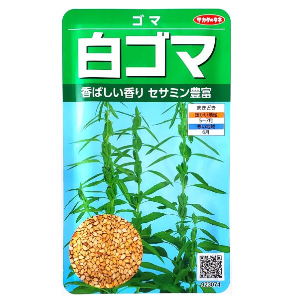 Rakuten - 【サカタのタネ】白ゴマ（12ml）【定形郵便・定形外郵便の発送のみ送料無料】健康野菜/香り/料理/種子/植物/栽培/ガーデニング/自宅で/ガーデン/夏まき/ゴマ科/粒数目安：2400粒/923074