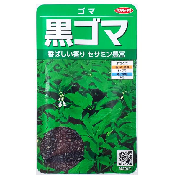 Rakuten - 【サカタのタネ】黒ゴマ（12ml）【定形郵便・定形外郵便の発送のみ送料無料】健康野菜/香り/料理/種子/植物/栽培/ガーデニング/自宅で/ガーデン/夏まき/ゴマ科/粒数目安：2500粒/923073
