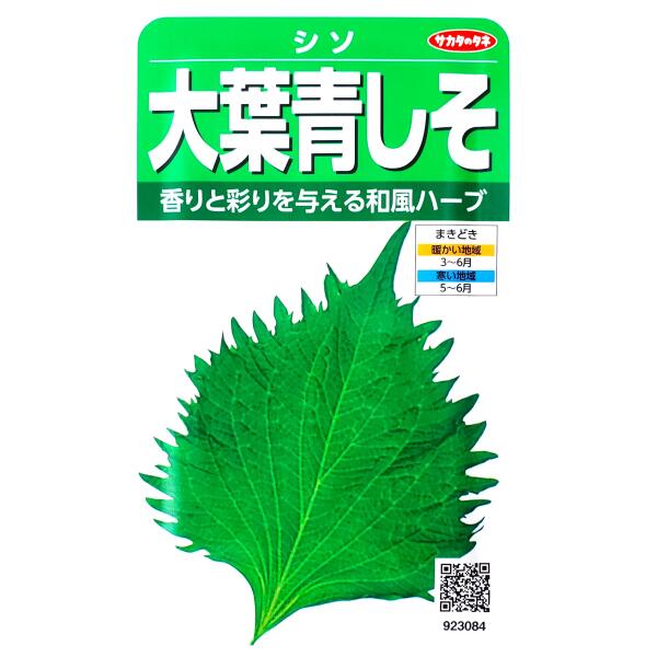 乐天商城 - 【サカタのタネ】大葉青しそ（5ml）【定形郵便・定形外郵便の発送のみ送料無料】芽ジソ/葉ジソ/穂ジソ/健康野菜/薬味/香り/料理/種子/野菜種/ガーデン/野菜/栽培/植物/ガーデニング/春まき/夏まき/シソ科/粒数目安：1500粒/923084