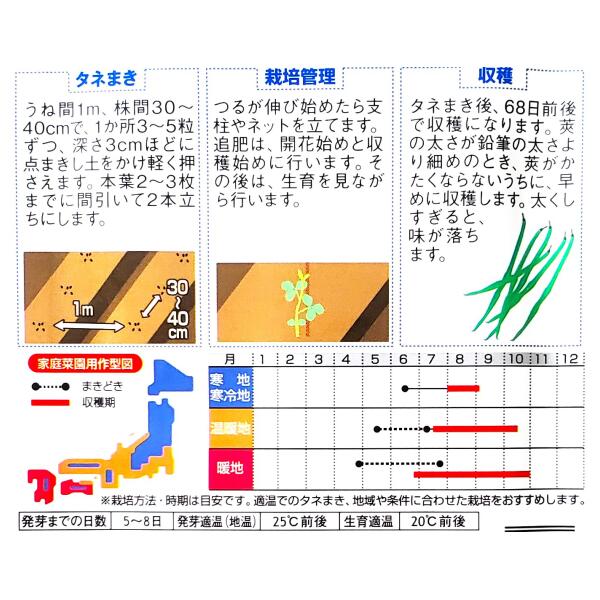 �ڥ������Υ��͡ۥ�����������������6.5ml�ˡ����͹�ء������͹�ؤ�ȯ���Τ�����̵���ۤ��Ҥ���/���֤�/ŷ�פ�/����/���/�����ǥ�/��ʪ/����/�����ǥ˥�/�����/�դޤ�/�Ƥޤ�/�ޥ��/γ���ܰ¡�35γ/927077