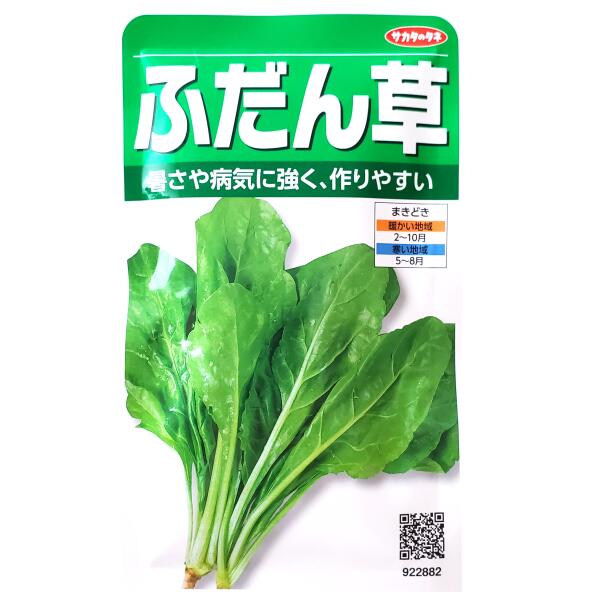 Rakuten - 【サカタのタネ】ふだん草（30ml）【定形郵便・定形外郵便の発送のみ送料無料】料理/油炒め/和え物/ビタミンA/ミネラル/種子/野菜種/ガーデン/植物/栽培/ガーデニング/自宅で/春まき/夏まき/アカザ科/粒数目安：200粒/922882