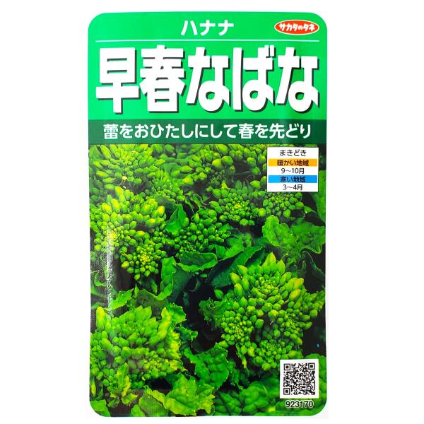 【サカタのタネ】早春なばな　ハナナ（4.8ml）【定形郵便・定形外郵便の発送のみ送料無料】ビタミン/ミ..