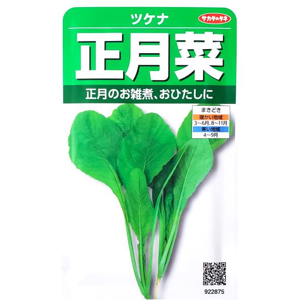 正月菜　ツケナ（10ml）お雑煮/おひたし/汁/料理/野菜種/野菜/栽培/植物/ガーデニング/家庭菜園/春まき/夏まき/秋まき/アブラナ科/粒数目安：1700粒/922875