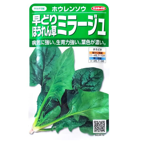 【サカタのタネ】早どりほうれん草　ミラージュ（25ml）【定形郵便・定形外郵便の発送のみ送料無料】種子/野菜種/ガーデン/植物/栽培/ガーデニング/自宅で/家庭菜園/春まき/夏まき/秋まき/ヒユ科/ホウレンソウ/粒数目安：750粒/923410(4.0)