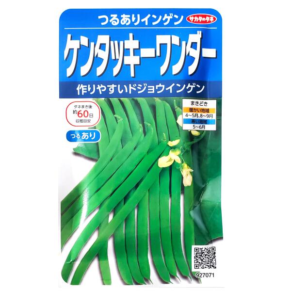 商品情報商品名ケンタッキーワンダー　つるありインゲン科・属名マメ科インゲン属原産地中央アメリカ生産地中国特長さやの形から「ドジョウ」とか「尺五寸」とも呼ばれています。莢は淡緑色、やや厚みのある平莢で、莢面に多少凹凸ができます。スジがなく、かたくなりにくいので、おいしく食べられます。※収穫目安は春まきの場合です。まきどき●暖かい地域：4月〜5月、8月～9月●寒い地域：5月～6月数量1袋：30ml品種名：なし※チウラム（1回）処理済＜ご参考＞粒数目安：50粒※表記している「粒数目安」は、おおよその目安となります。採種条件（採種地や気候など）により異なる場合があります。発芽率80％以上発芽までの日数5日～8日発芽適温（地温）25℃前後生育適温20℃前後有効期限2026年10月末日配送方法※重要※必ずご確認下さいこちらの商品は、宅配便の他【定形郵便・定形外郵便】での発送が可能でございます。定形郵便・定形外郵便のみのお買い上げの場合は、＜全国一律送料無料＞でございます。下記の場合は、送料がかかります。定形郵便・定形外郵便＋通常商品＝送料が発生します。定形郵便・定形外郵便＋送料無料の通常商品＝送料無料となります。※定形郵便・定形外郵便（送料無料）＋通常商品（送料別）を同時購入の場合、楽天市場のシステム上、商品ページや注文確定時に0円と表示されますが、ご注文受付の際に送料を加算させてご連絡致しますので、必ずご確認下さい。 同梱にて宅配便（有料）にて発送させて頂きます。●配送方法を選択する場合は、【メール便】をお選び下さい。●定形郵便・定形外郵便はポスト投函でございます。【日時指定不可】【追跡番号なし】地域によりますが、到着までに約2日から1週間ほどかかります。商品のお届け保障、受取確認、汚損、封筒の破損等の保障はできかねます。予めご了承の上、ご購入をお願い致します。注意事項●種子は、播種後の栽培条件・天候などにより、その結果が異なることがございます。●種子を食用・飼育用に使用しないで下さい。●小児の届かないところに保管して下さい。●種子の性質上、冷暗所で保存して下さい。●ご注文の際は、まきどきを必ずご確認下さい。【サカタのタネ】ケンタッキーワンダー　つるありインゲン（30ml）【定形郵便・定形外郵便の発送のみ送料無料】スジなし/料理/種子/野菜/植物/栽培/ガーデニング/自宅で/春まき/夏まき/マメ科/ドジョウ/尺五寸/粒数目安：50粒/927071 作りやすいドジョウインゲン★ 1