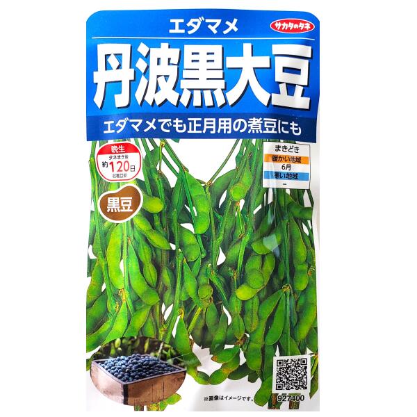 Rakuten - 【サカタのタネ】丹波黒大豆　エダマメ（20ml）【定形郵便・定形外郵便の発送のみ送料無料】正月/煮豆/料理/種子/植物/栽培/ガーデニング/自宅で/秋まき/冬まき/マメ科/枝豆/黒豆/えだまめ/粒数目安：22粒/927400