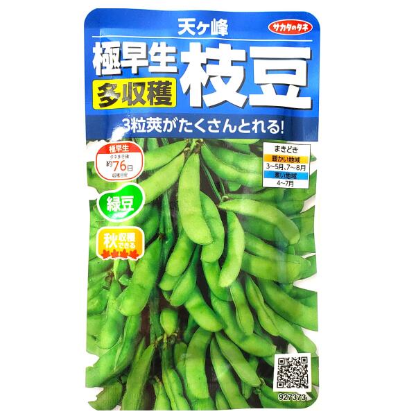 【サカタのタネ】極早生多収穫枝豆　天ヶ峰（33ml）【定形郵便・定形外郵便の発送のみ送料無料】料理/種子/植物/栽培/ガーデニング/自宅で/春まき/夏まき/マメ科/枝豆/緑豆/えだまめ/粒数目安：55粒/927373