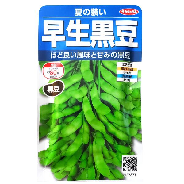 Rakuten - 【サカタのタネ】早生黒豆　夏の装い（20ml）【定形郵便・定形外郵便の発送のみ送料無料】料理/種子/植物/栽培/ガーデニング/自宅で/春まき/夏まき/マメ科/枝豆/黒豆/えだまめ/エダマメ/粒数目安：35粒/927377