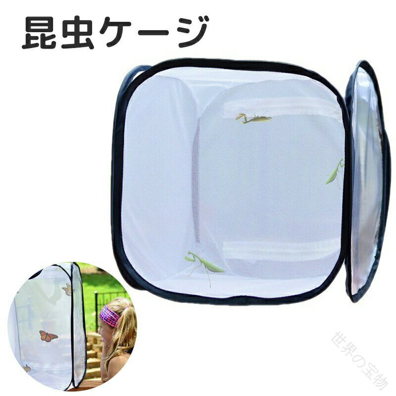 昆虫 飼育箱 昆虫ケース 昆虫ケージ 蝶 バタフライケージ 通気性 ネット メッシュ 繁殖 透明 飼育ケース 大型 幼虫 虫かご 軽量 折りたたみ 折り畳み 植物ケージ 標本箱 爬虫類 昆虫 バッタ
