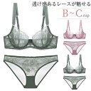 レース ブラジャー ショーツセット ブラセット レディース インナー ブラジャー 夏ブラ ノンパテッドブラ 透け感 刺繍 美胸ブラ セクシー下着 勝負下着 エロい B70 B75 C75 B80 C80 B85 C85(4)