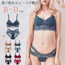 レース ブラジャー ショーツセット レディース 下着 夏ブラ 脇肉 ブラジャー ノンパテッド ブラ ブラジャー 下着 セクシー 勝負下着 美胸ブラ エロい 透け感 BCDカップ