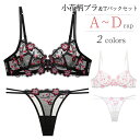 ブラジャー ショーツ セット シースルー Tバック ソング ノーパッド ブラ ノンパテッド レディース インナー ブラジャー 透け セクシー ランジェリー ワイヤー付き 3/4カップ 2色 ロマンチック