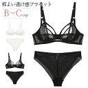 シースルー ブラジャー ショーツ セット シースルー ブラセット ノンパッド ブラ レディース 下着 セット セクシー ノーパッド ノンパッド 透け感 エレガント