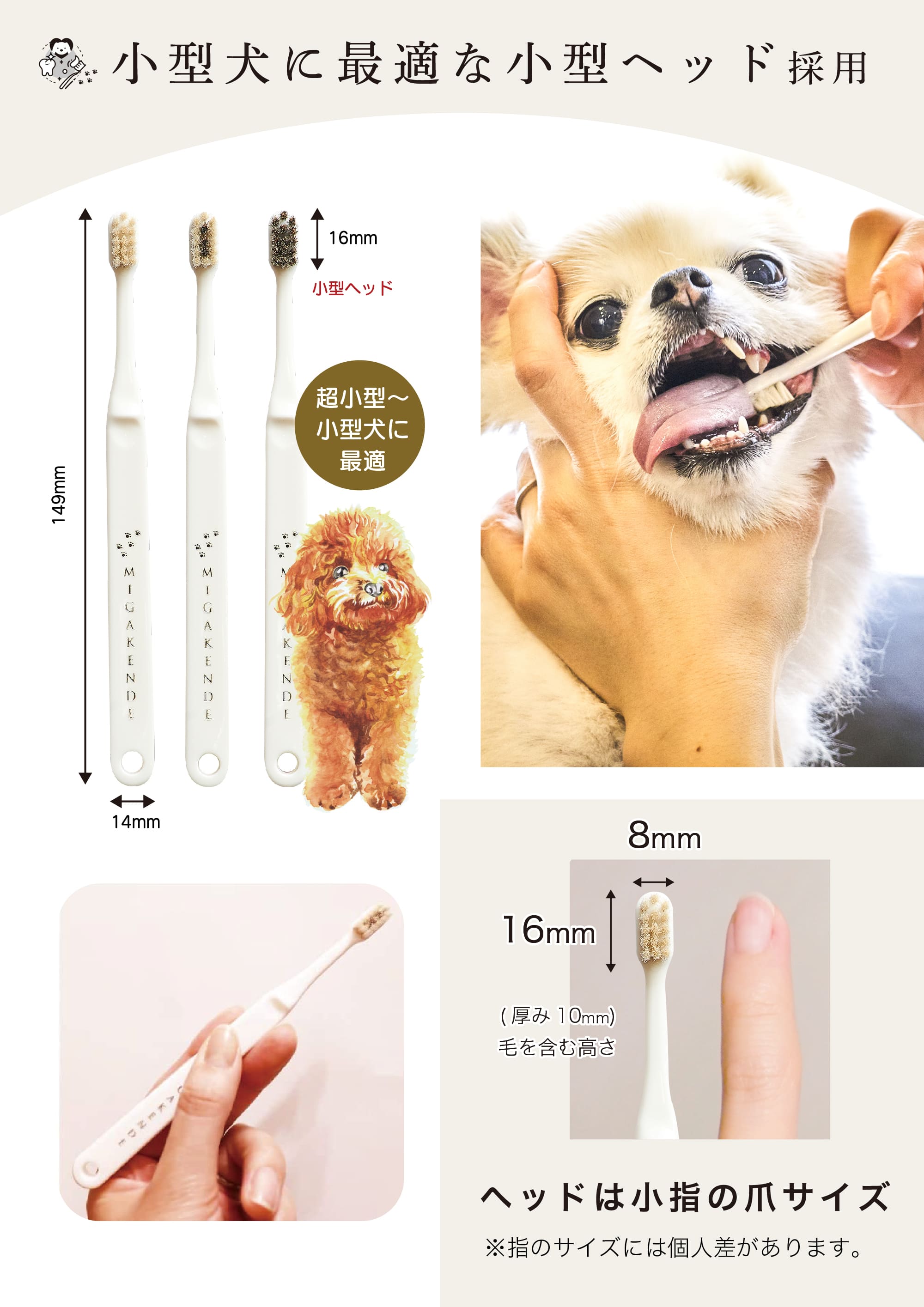 �ߥ������ ���᤭ʴ ���֥饷 ŷ���� �������� ������ MIGAKENDE