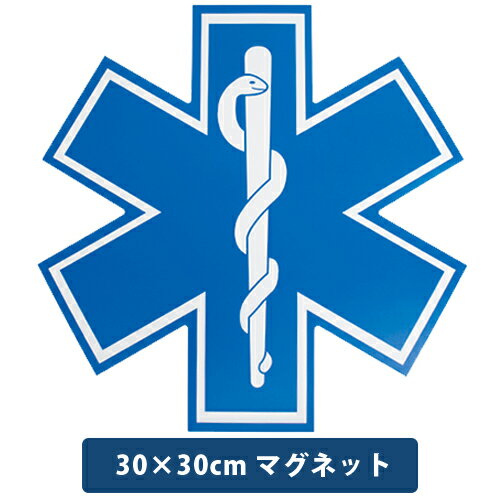 乐天商城 - スターオブライフ マグネット 30cm