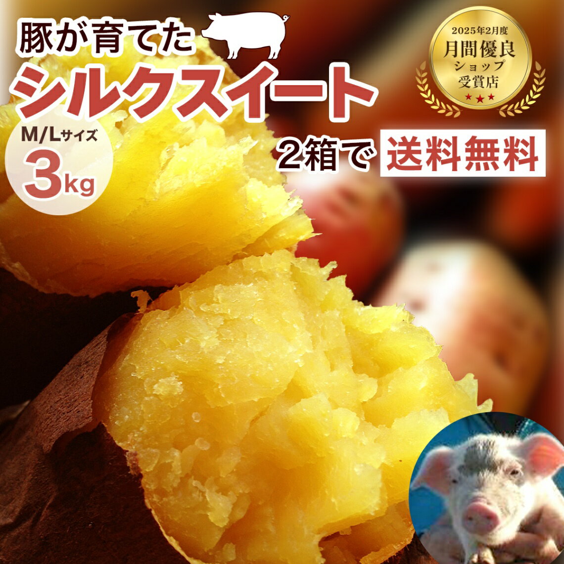 【月間優良ショップ受賞】2箱で送料無料!シルクスイート3kg さつまいも!甘くなめらか(絹芋)豚が育てたさつま芋千葉県産薩摩芋