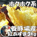 新さつまいも3kg豚が育てた紅東レビュー3400件サツマイモ...