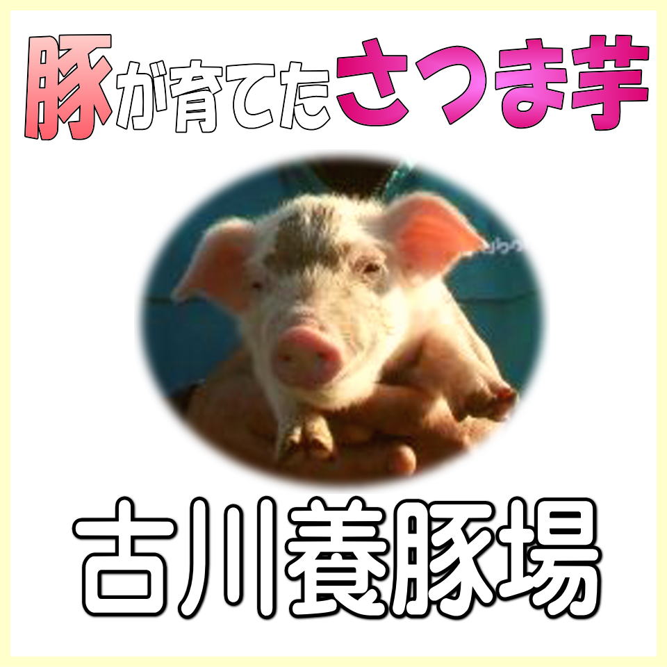 Shop icon