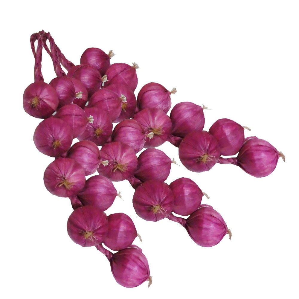 にんにく　ストリング　レッド　3本セット　吊るし　野菜模型　インテリアや店舗のディスプレイに最適