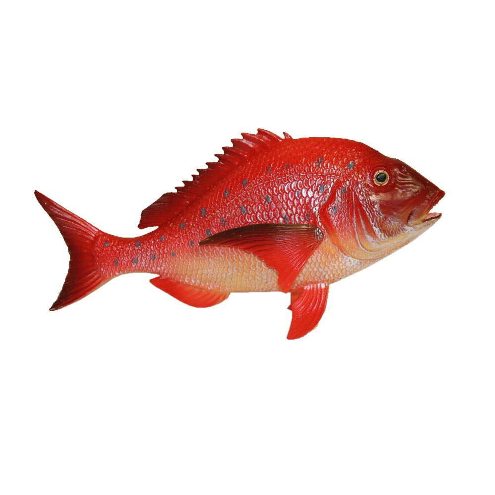 鯛模型　タイ　魚模型　魚フィギュア　赤　faf-tr18