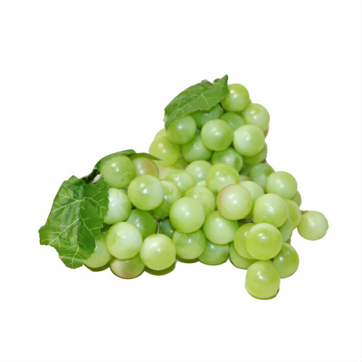 GuCra　グクラ　ぶどう　2房セット　長さ16cm　本物そっくりな果物模型　葡萄　ブドウ　美術用品　食品サンプル　マスカット