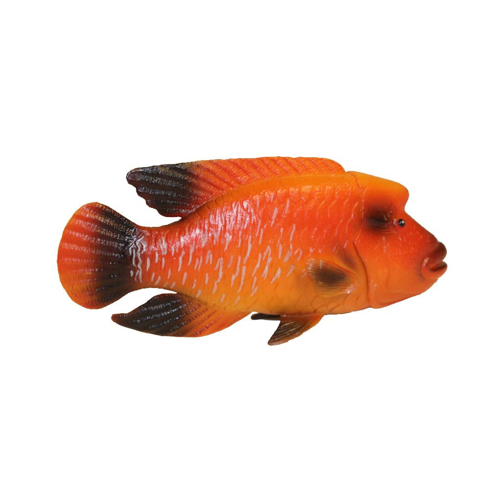 楽天市場】熱帯魚(フィギュア|コレクション):ホビーの通販 楽天市場】熱帯魚(フィギュア|コレクション):ホビーの通販