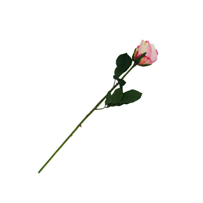 �Х顡�鯡�¤�֡�1�ء��ԥ󥯥ۥ磻�ȡ�002-012