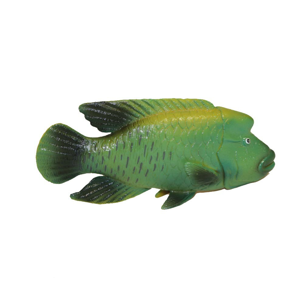 楽天市場】熱帯魚(フィギュア|コレクション):ホビーの通販 楽天市場】熱帯魚(フィギュア|コレクション):ホビーの通販