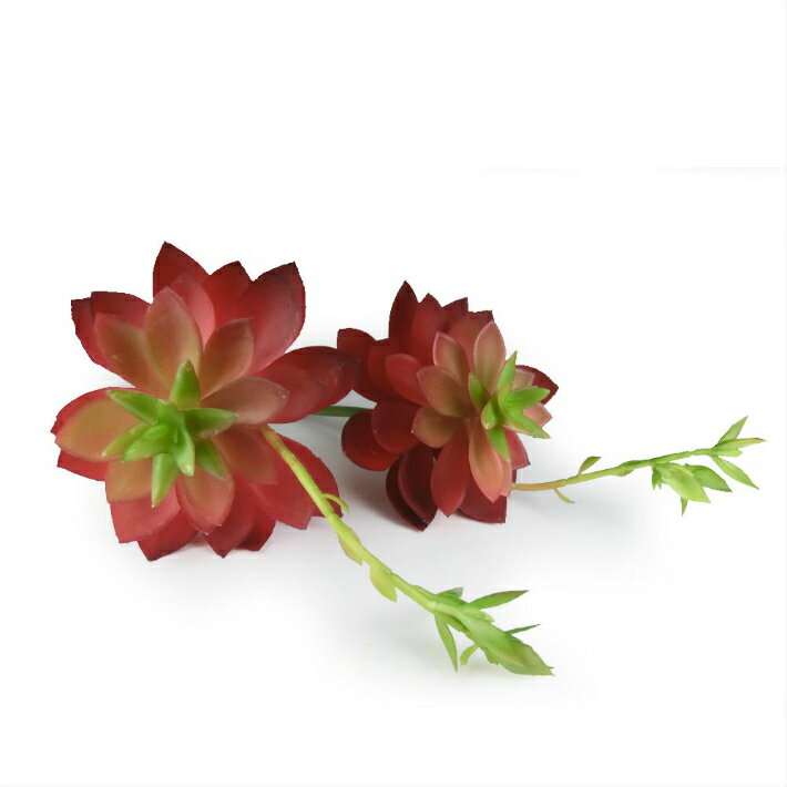 ¿����ʪ���������������٥ꥢ��¤�֡���åɡ�1����002-051