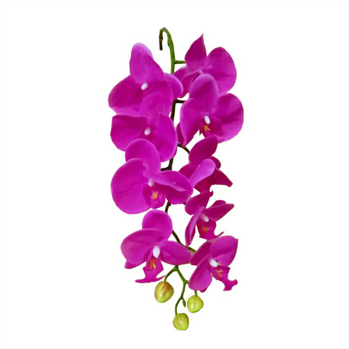 Orchid - 蘭　ラン　造花　1本　ピンク　大　002-062
