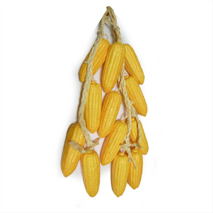 とうもろこし コーン 吊るし野菜 模型 食品サンプル 3本セット(実12個) ディスプレイ等に レプリカ