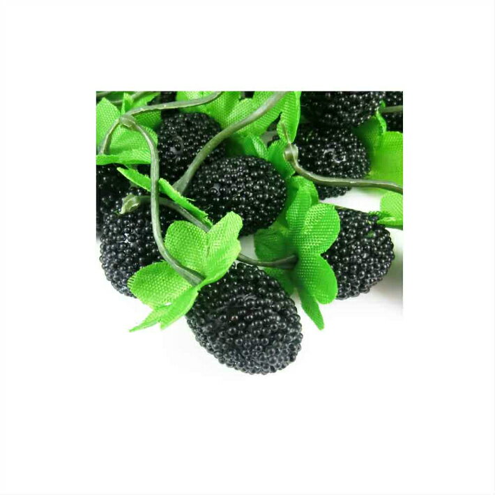 GuCra�������顡��ʪ�Ϸ����饺�٥꡼��(�Ρ��ޥ�)��������50�ĥѥå������ʥ���ץ� (�֥�å�)