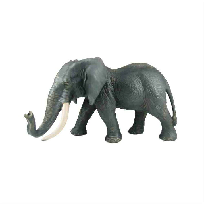 ゾウ-1　象　動物模型　動物フィギュア