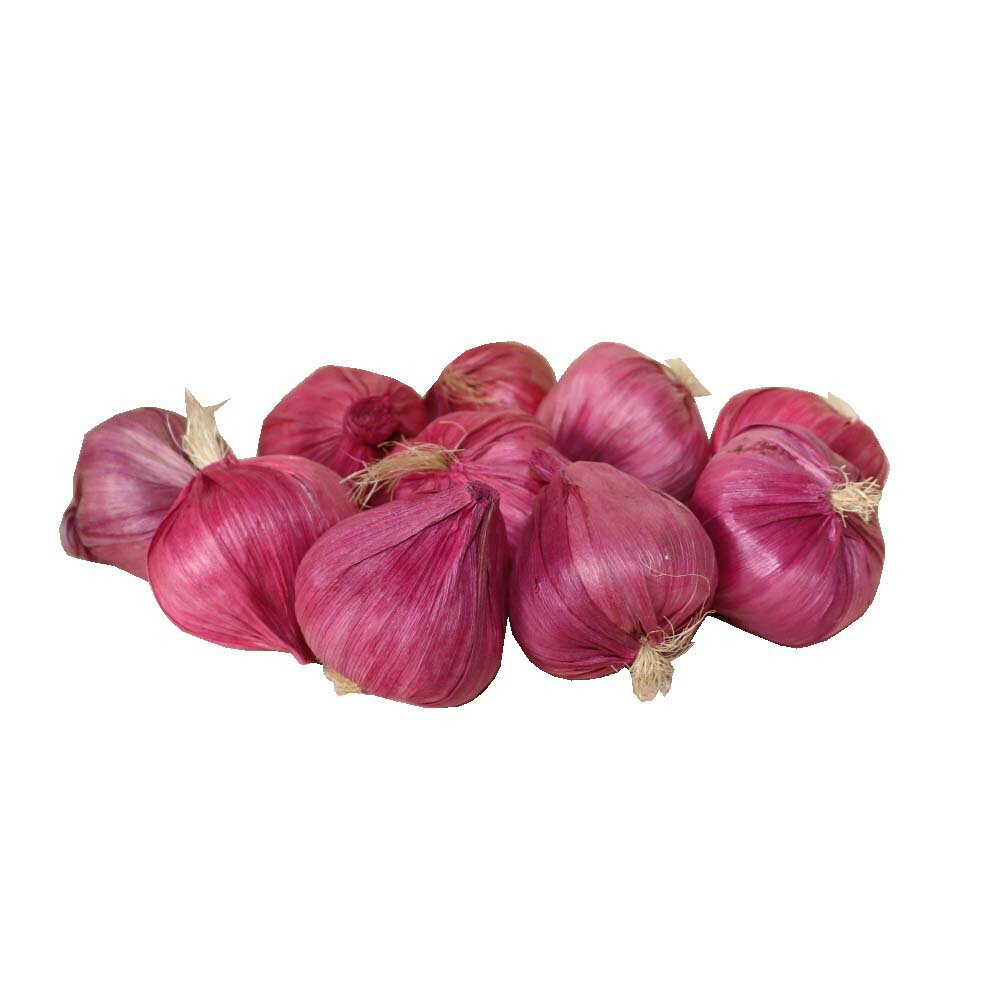 GuCra グクラ にんにく 野菜模型 10個パック 食品サンプル (レッド)