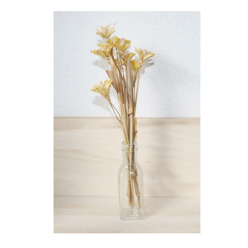 �ɥ饤�ե���¤�֡��ץꥶ���֥ɥե�������������10�����ꡡdf-ye10