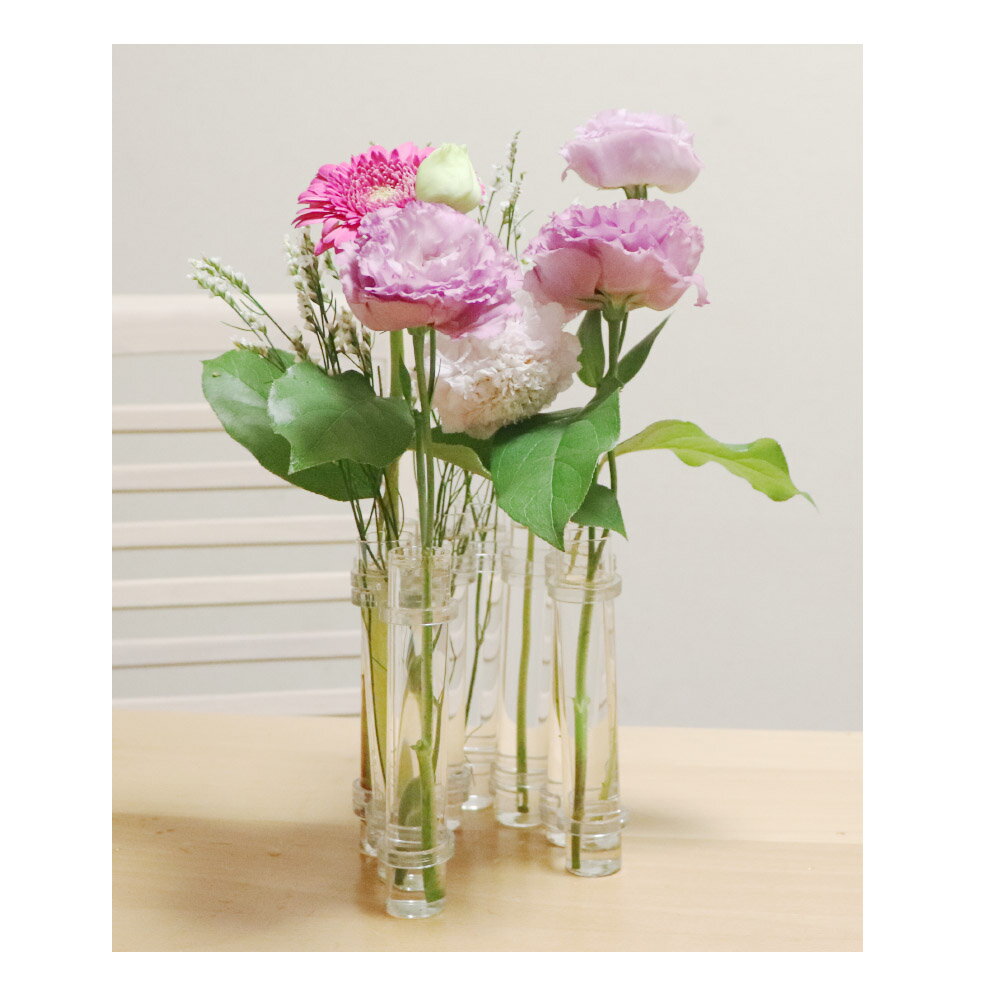 ���ӥ�����ɡ���ɥ�����8�ܡ���̺��ݲ��ӡ������ӡ���ʪ���ݥ��饹��������ƴ�ϥ��ɥ�������㡼��1���ޤ�