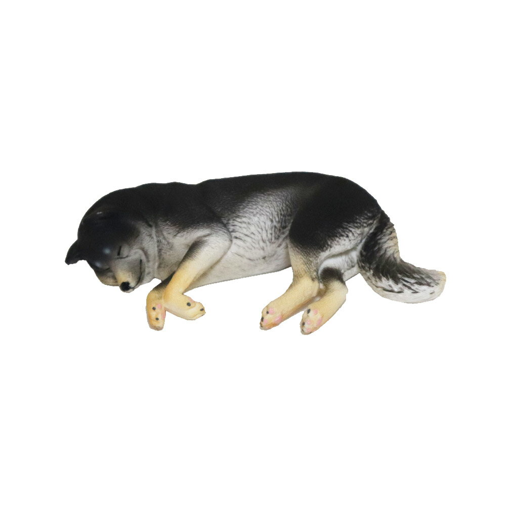 Rakuten - 柴犬　寝姿-2　動物模型　動物フィギュア　amf-d3
