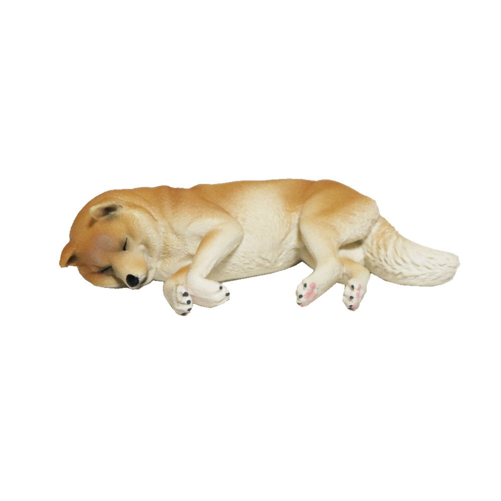 Rakuten - 柴犬　寝姿　動物模型　動物フィギュア　amf-d2