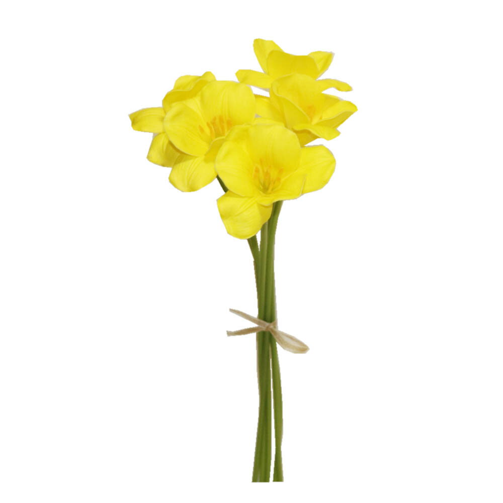 ���塼��åס�¤�֡�����������5�ܥ��åȡ������դ�������ƥꥢ���ǥ����ץ쥤