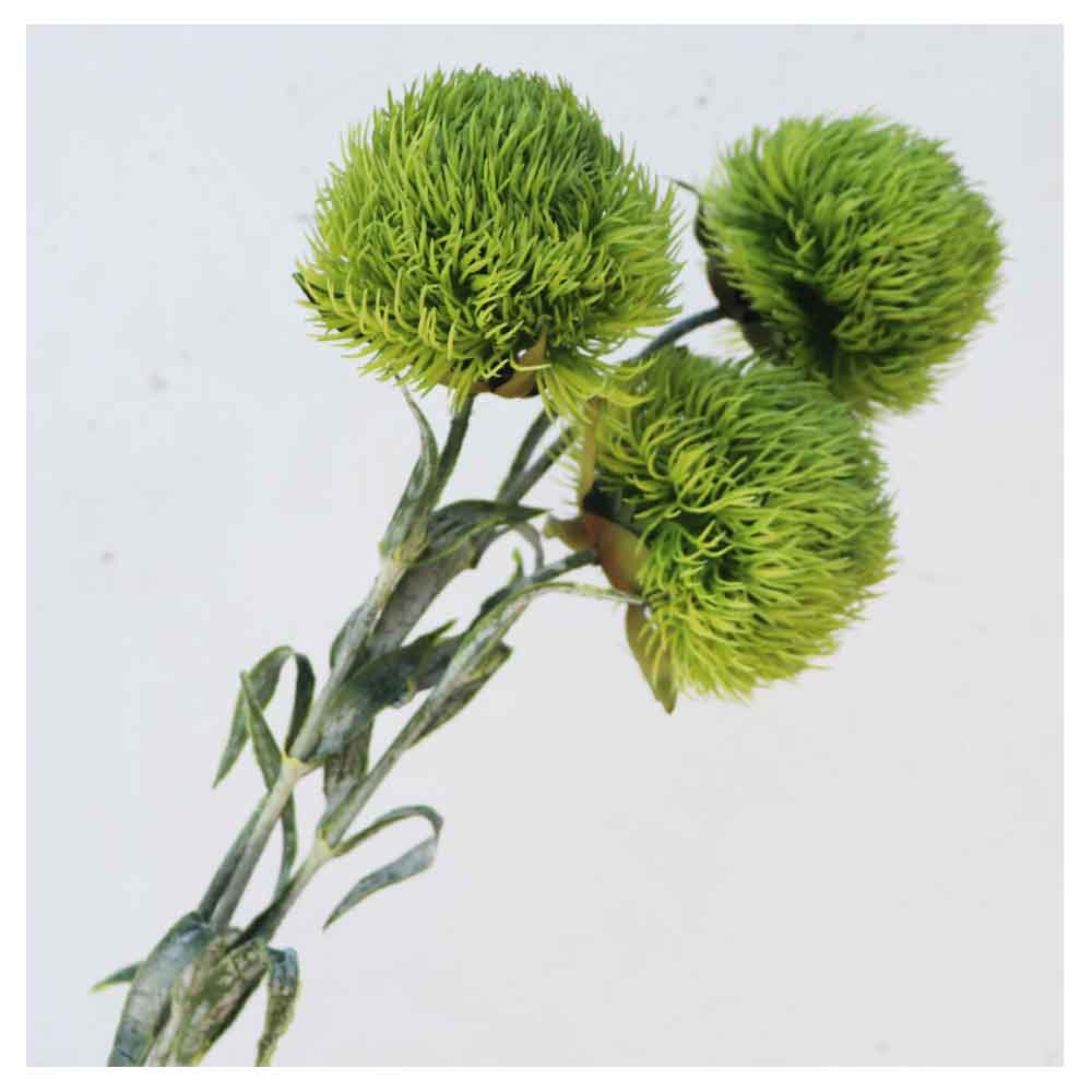 1本の茎に花が1輪付いている造花 3本セット 1本あたりの製品サイズ：約 8x 8x 55cm 花の大きさ約8x8cm、全体長さ約55cm 材質：プラスチック、ポリエステル、ポリエチレン 茎部分はニッパーなどの工具でカットでき、自由に長さ調節ができます。 直射日光の当たる場所や屋外で使用すると、色落ちや変色する場合があります。 屋内装飾用なので、装飾以外の用途にはご使用にならないで下さい。