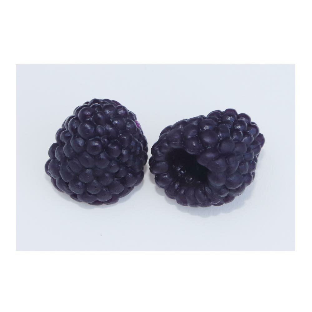 GuCra　グクラ　果物模型　ラズベリー　(ブラックEX)　木苺　20個パック　食品サンプル