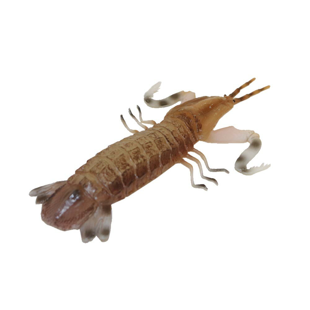 シャコ　蝦蛄　魚模型　食品サンプル　食品模型　店舗ディスプレイ　カラー：尻尾茶