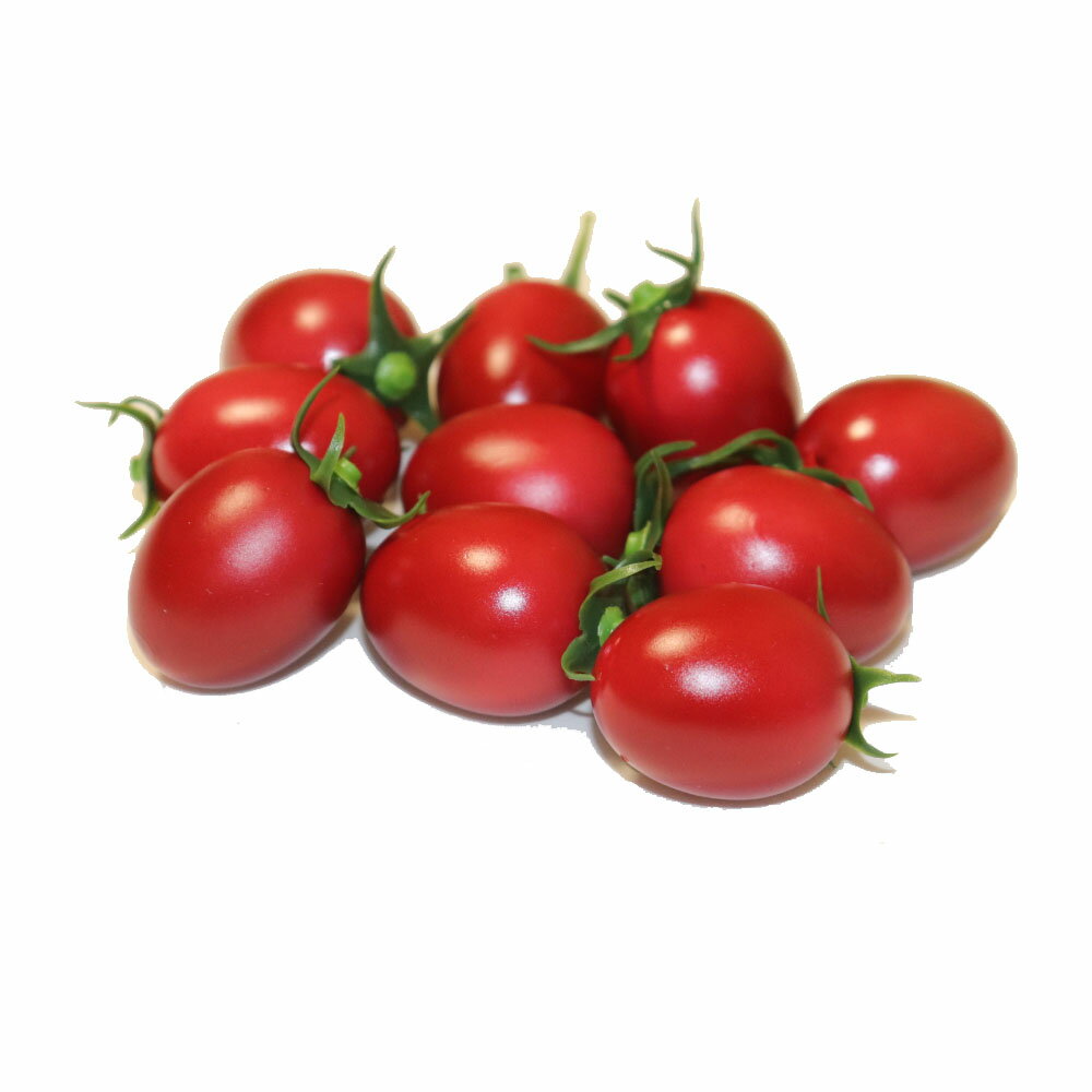 ǥץ쥤ȥѥ㤨GuCra顡ץȥޥȡߥ˥ȥޥȡϷ10ĥѥåʥץϷפβǤʤ1,480ߤˤʤޤ