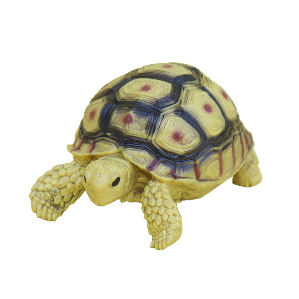 リクガメ 動物模型 亀 動物フィギュア タイプA